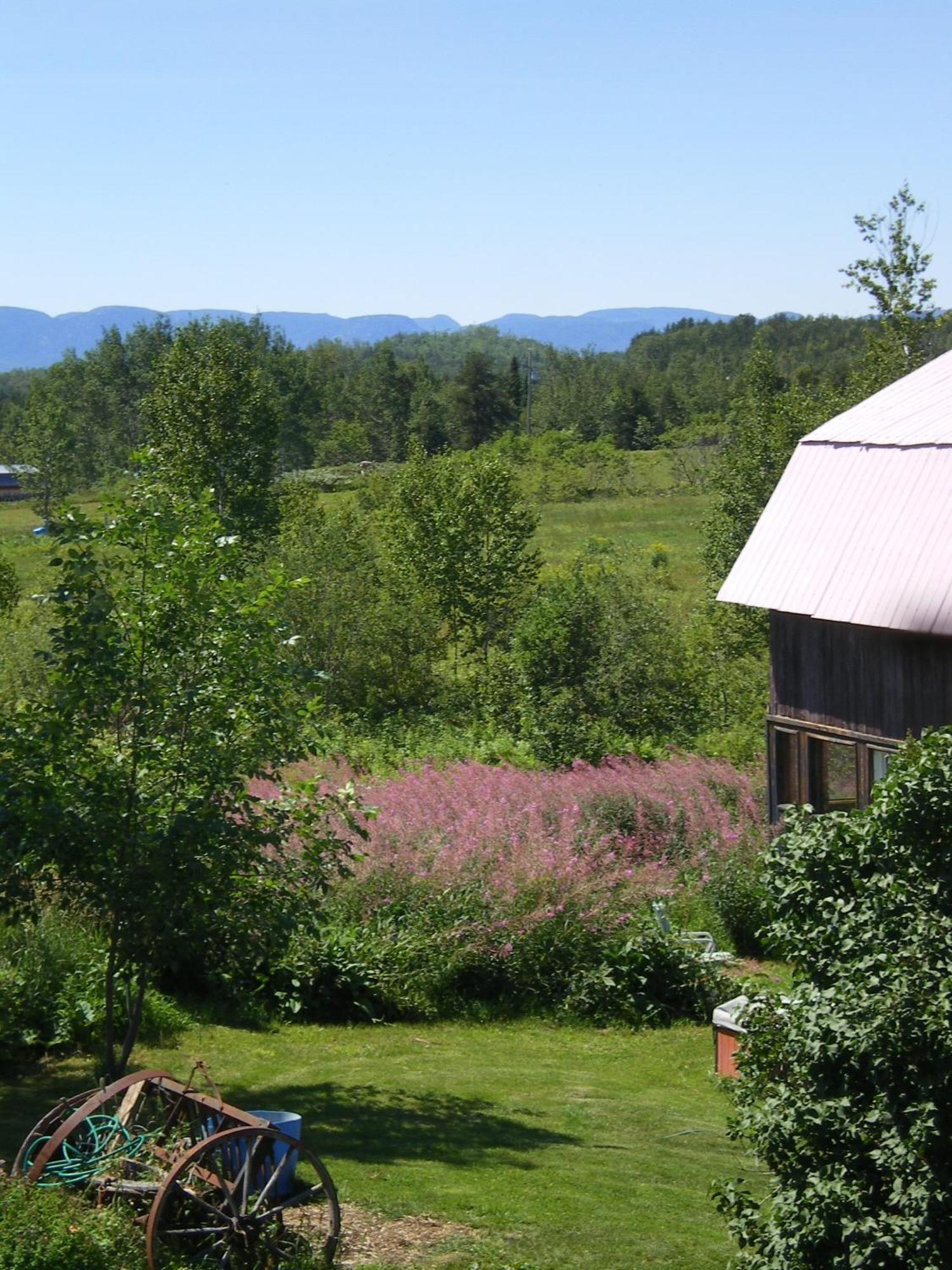 L'Aubergine Hotel Saint Hilarion Екстериор снимка